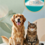 Water-soluble CBD for pets – Trait Companion improving mobility and wellness for dogs and cats